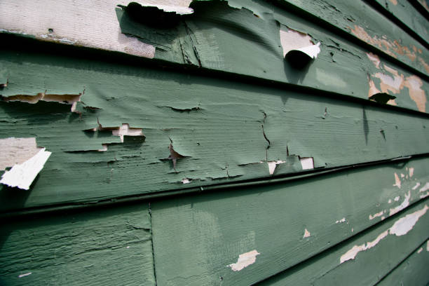 Best Same-Day Junk Removal Services  in Nedrow, NY